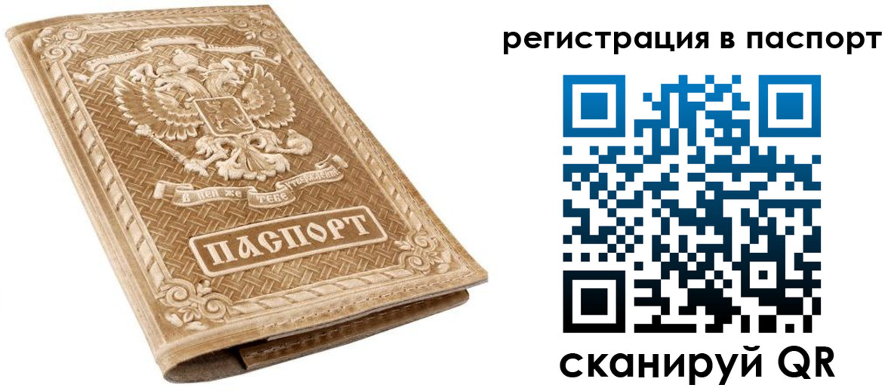 прописка в Жирновске